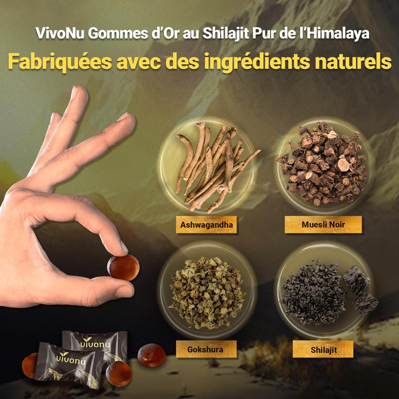 Bevalora® Gommes Énergétiques Shilajit de l'Himalaya