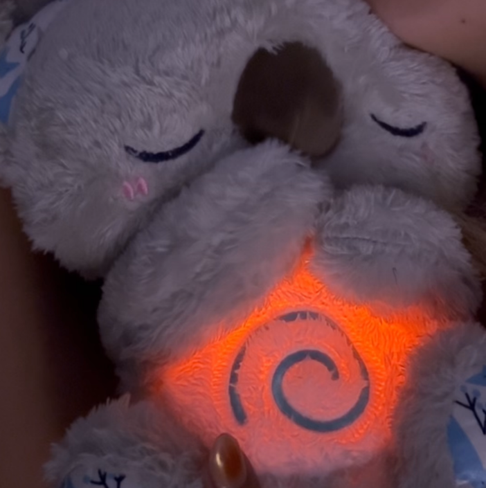 EL KOALA DE ALIVIO