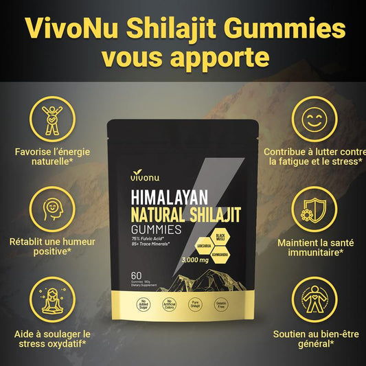 Bevalora® Gommes Énergétiques Shilajit de l'Himalaya