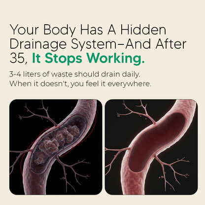 New Maximum Potency Formula - Lymphatic Drainage Capsules by Bevalora™